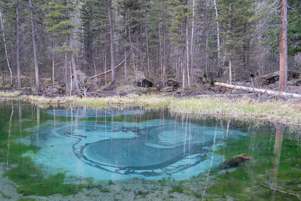 n 5v1tR3mg srKlxlNySJYTblZI 960 Луна на алтае как добраться