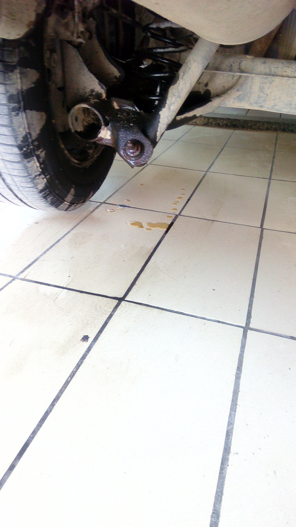 трубка тормозная задняя рено флюенс 463150252r правая. Смотреть фото трубка тормозная задняя рено флюенс 463150252r правая. Смотреть картинку трубка тормозная задняя рено флюенс 463150252r правая. Картинка про трубка тормозная задняя рено флюенс 463150252r правая. Фото трубка тормозная задняя рено флюенс 463150252r правая трубка тормозная задняя рено флюенс 463150252r правая. Смотреть фото трубка тормозная задняя рено флюенс 463150252r правая. Смотреть картинку трубка тормозная задняя рено флюенс 463150252r правая. Картинка про трубка тормозная задняя рено флюенс 463150252r правая. Фото трубка тормозная задняя рено флюенс 463150252r правая