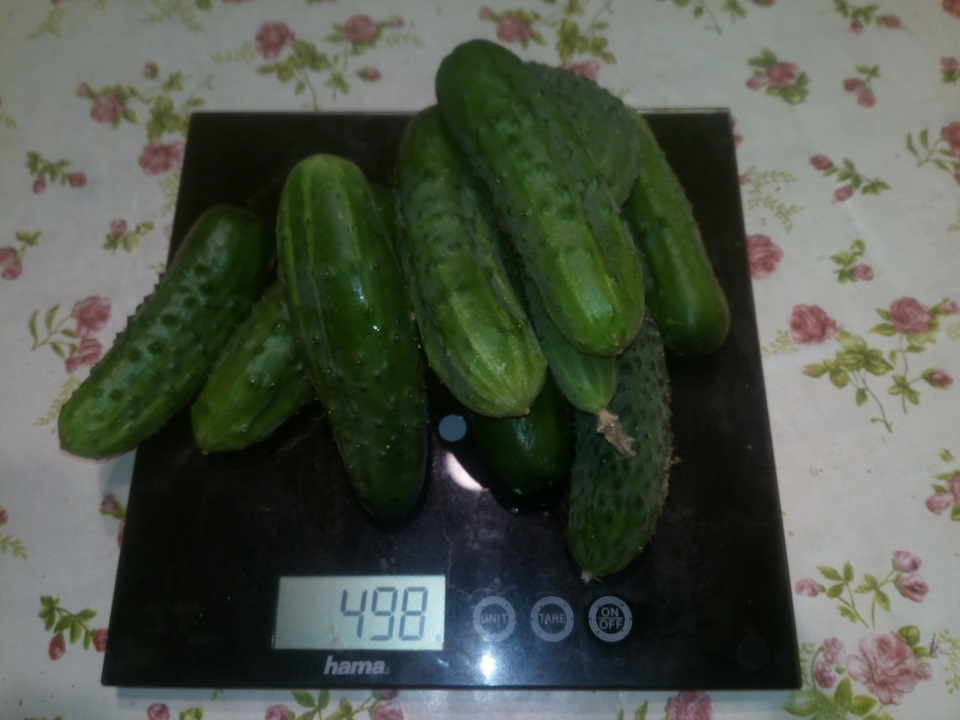 битые огурцы энди шеф. Смотреть фото битые огурцы энди шеф. Смотреть картинку битые огурцы энди шеф. Картинка про битые огурцы энди шеф. Фото битые огурцы энди шеф битые огурцы энди шеф. Смотреть фото битые огурцы энди шеф. Смотреть картинку битые огурцы энди шеф. Картинка про битые огурцы энди шеф. Фото битые огурцы энди шеф