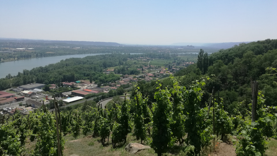 Виноградники и атомная электростанция Сент-Альбан (Saint-Alban) вдалеке. Кстати, новый сериал «Чернобыль» все посмотрели? :) Как он вам? — Audi A4 (B9)
