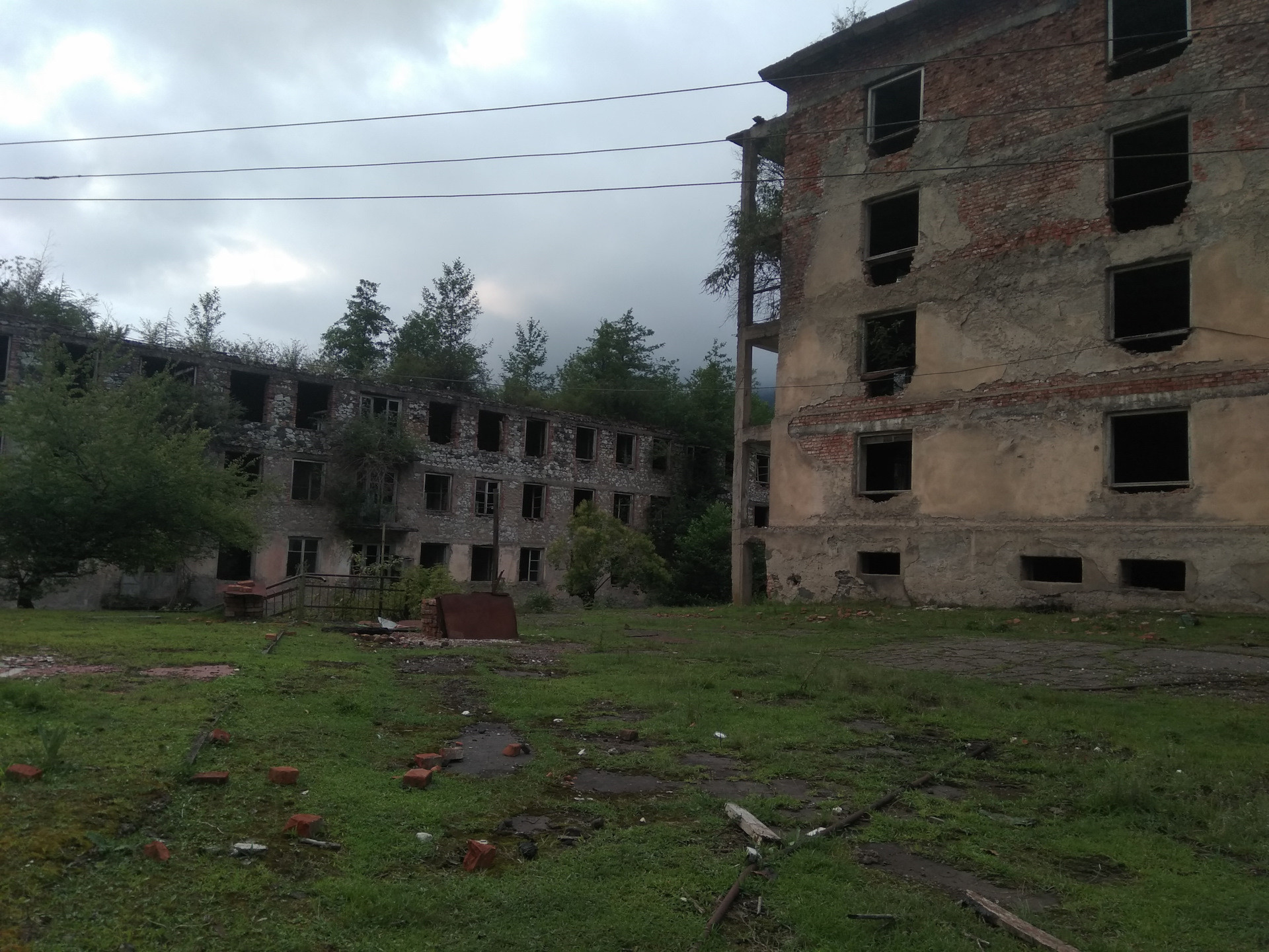 черный химки