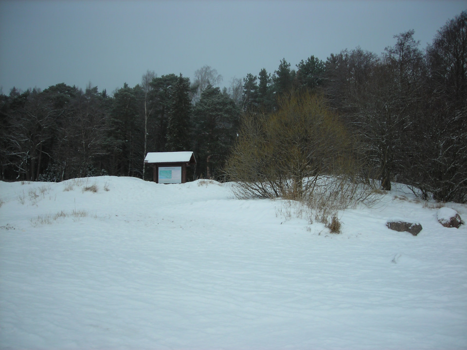 Фото в бортжурнале Renault Sandero 2G