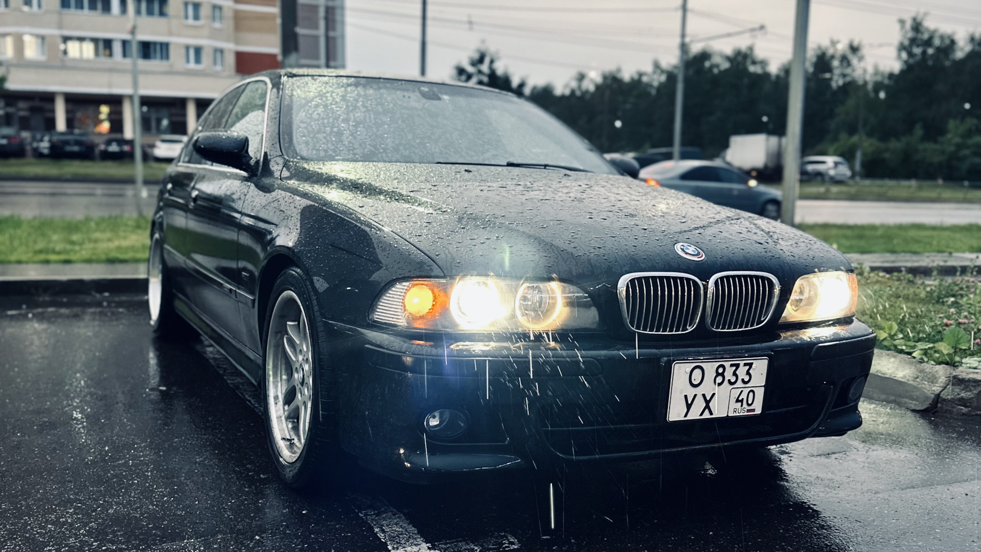 BMW 5 series (E39) 2.5 бензиновый 1999 | ▪️ONYX▪️ на DRIVE2