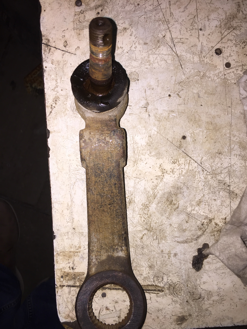 Фото в бортжурнале Great Wall Deer