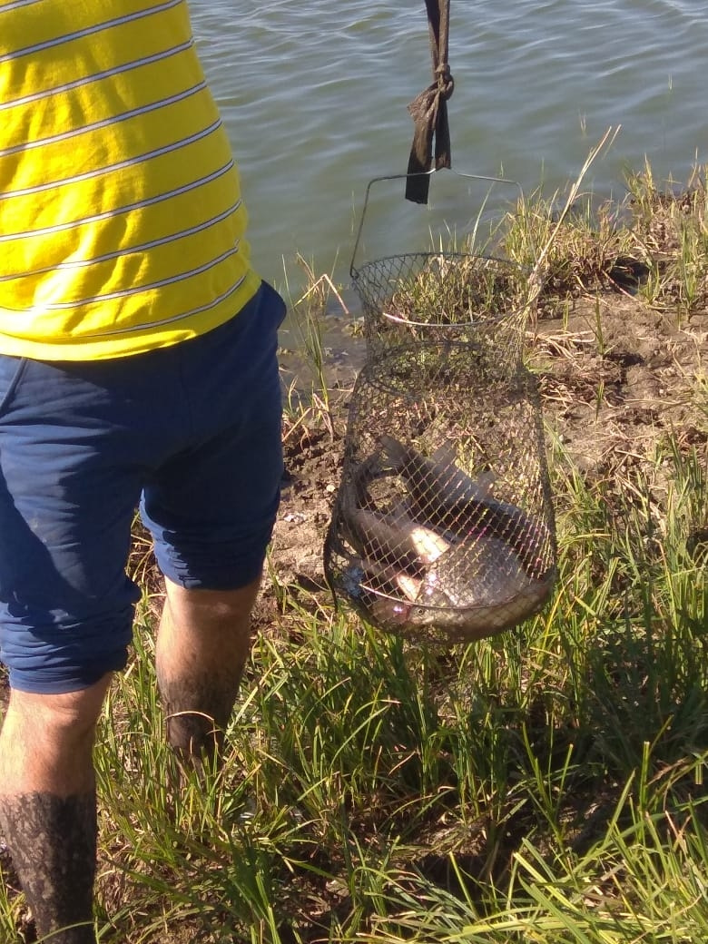 Поездка на рыбалку в Пологое займище — Great Wall Hover, 2,8 л, 2007 ...