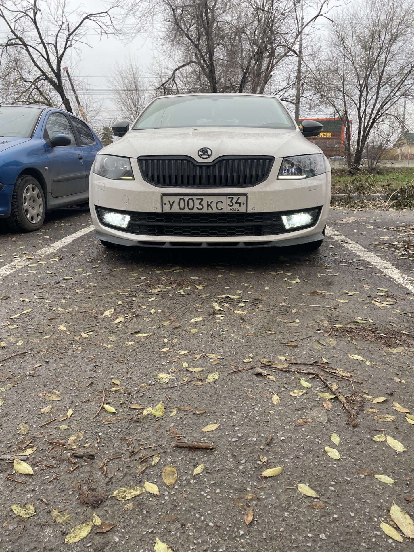 Замена ламп противотуманных фар — Skoda Octavia A7 Mk3, 1,8 л, 2013 ...