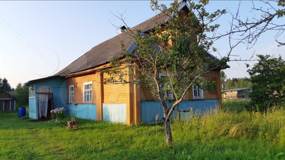 Авито хвойная дома. Р.Кушавера, современный вид.