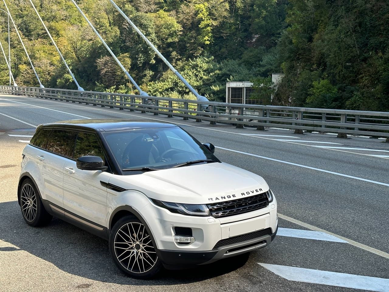 Поездка в Сочи и Абхазию на Эвоке — Land Rover Range Rover Evoque, 2,2 л,  2012 года | путешествие | DRIVE2