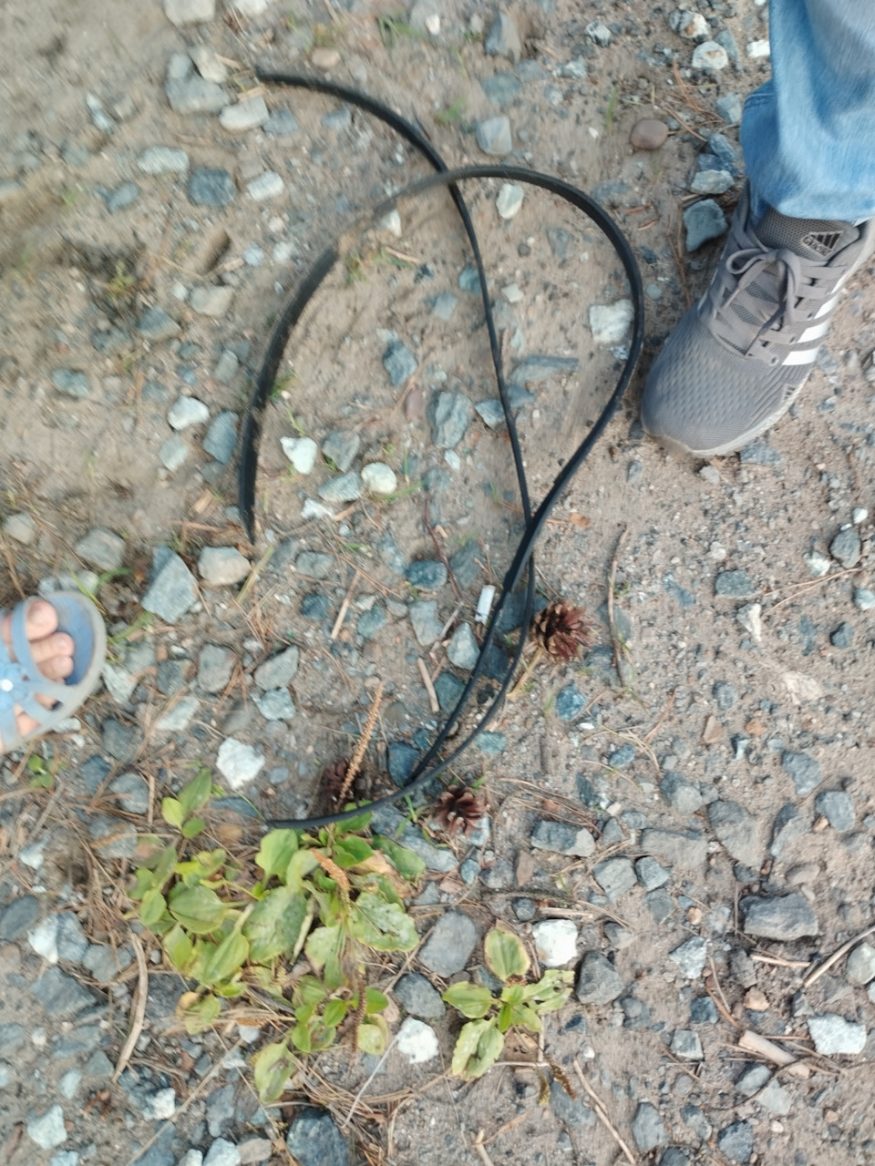 Обрыв ремня привода генератора, гур и помпы — DRIVE2