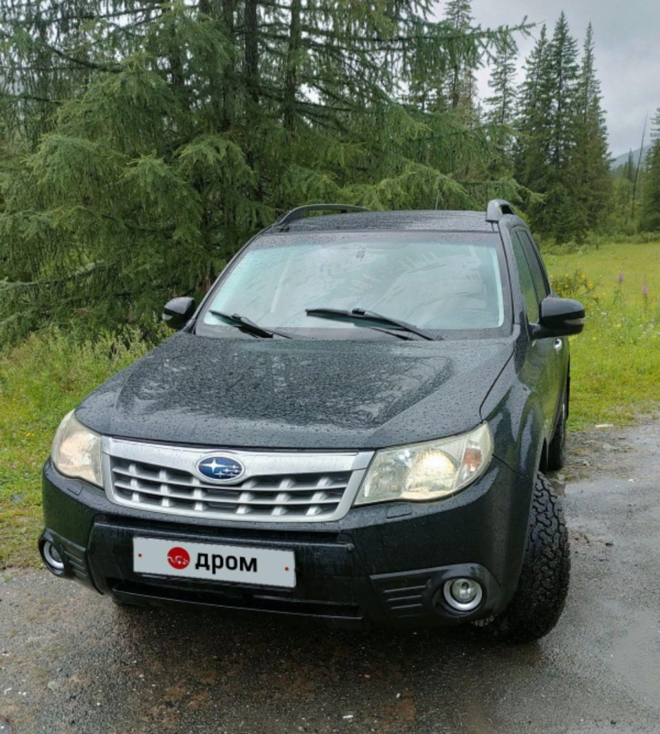 1 Покупка авто — Subaru Forester (SH), 2 л, 2012 года | покупка машины |  DRIVE2