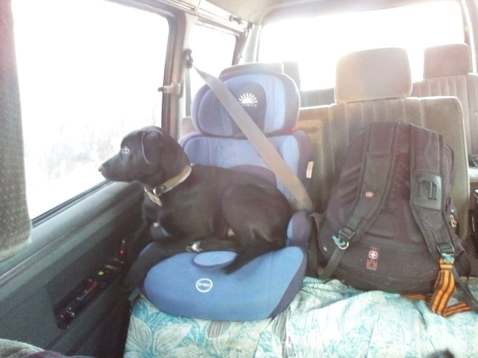 течь масла или как менять сальник коленвала бесконечно — Mitsubishi ...