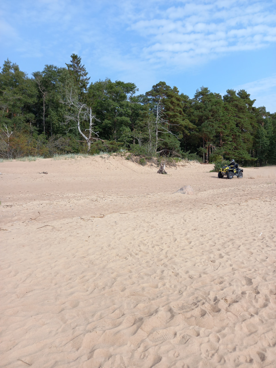 Фото в бортжурнале Renault Sandero 2G