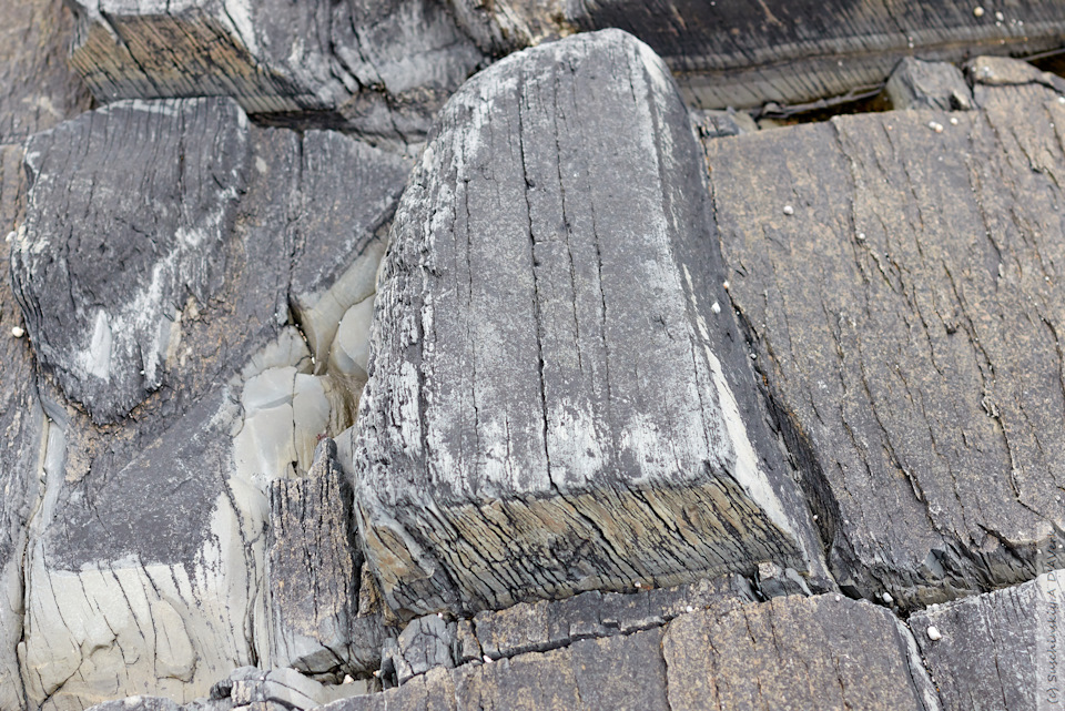 Фото в бортжурнале SsangYong Kyron