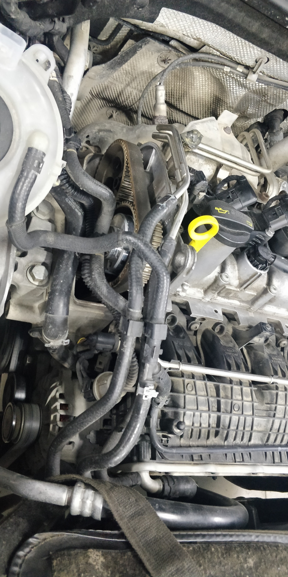 Смена ремня ГРМ — Audi A3 Sedan (8V), 1,4 л, 2013 года | визит на ...