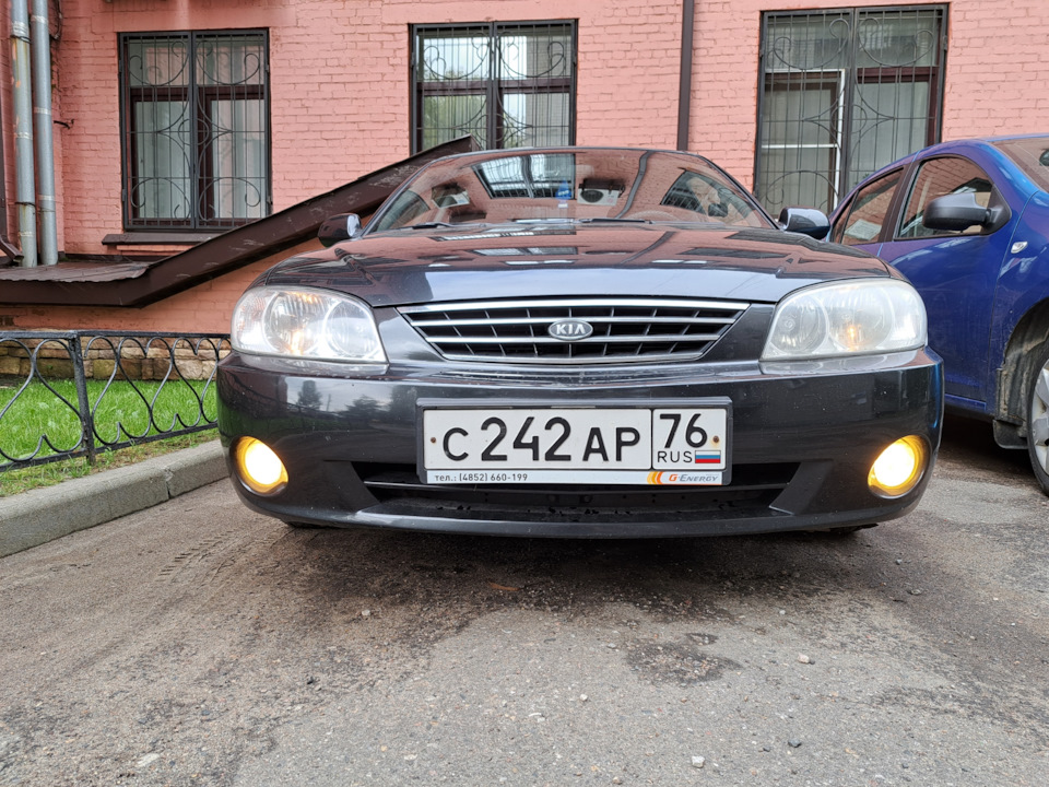 Новые лампы ПТФ — KIA Spectra, 1,6 л, 2009 года | расходники | DRIVE2