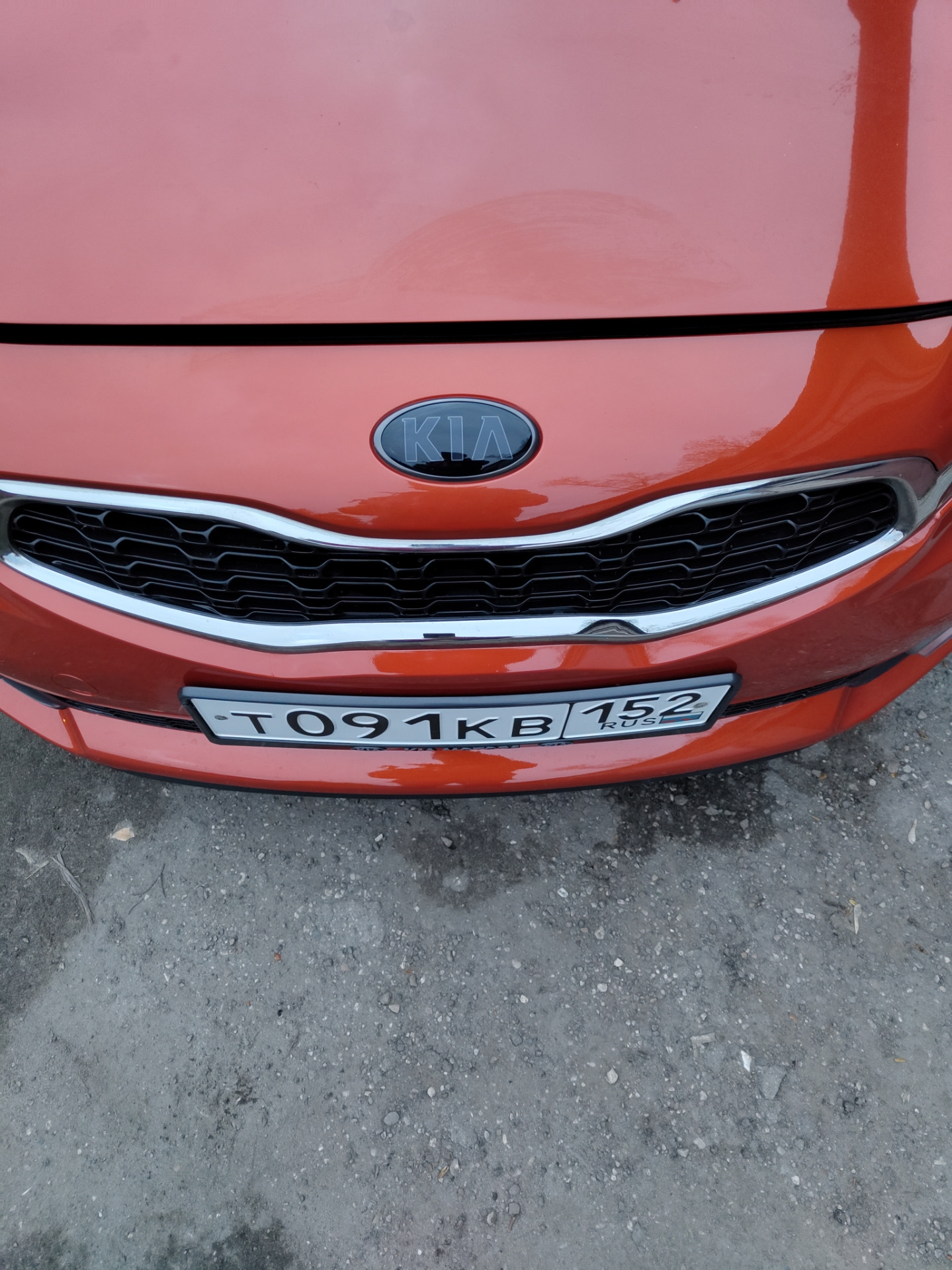 Эмблема Kia black edition — KIA Pro_Ceed (2G), 1,6 л, 2014 года ...