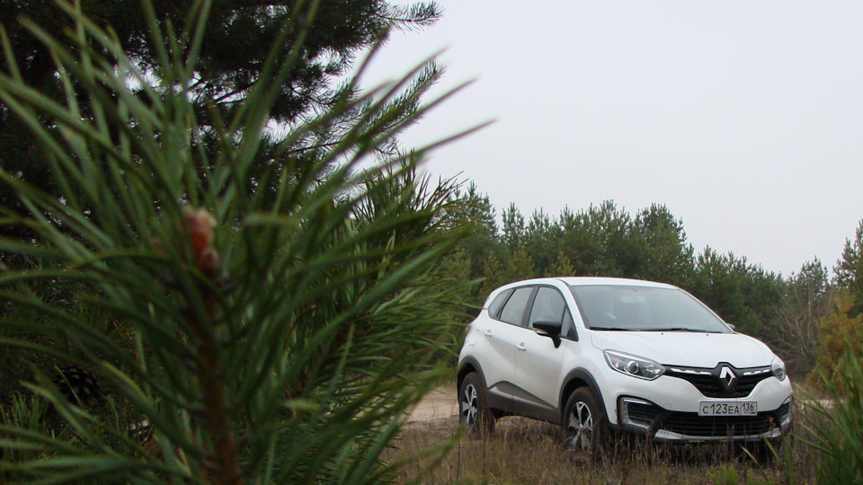 Renault Kaptur Белый лёд