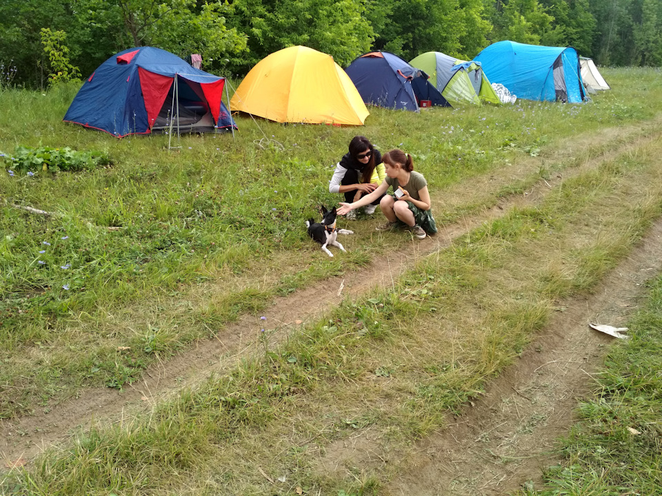 На грунтовой дороге в середине лагеря — Honda Element