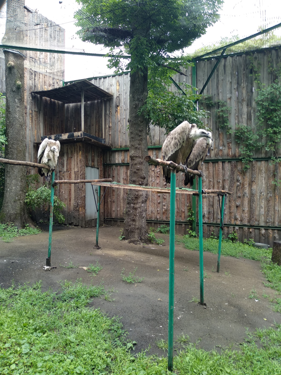 Зоопарк Магазин Самара Официальный