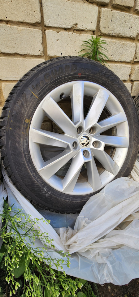 Шины зимние шипованные Yokohama 215/55 R17 на Volkswagen Arteon, Skoda ...