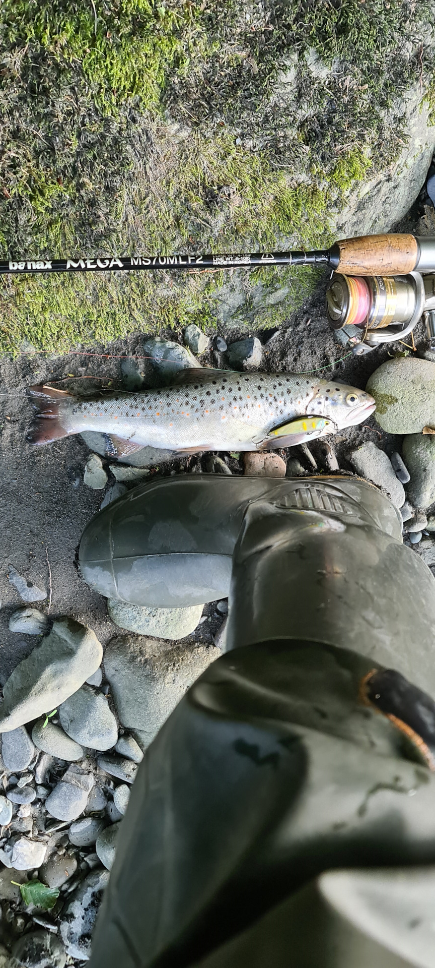 Форель на воблер Smith — Сообщество «Охота и Рыбалка» на DRIVE2