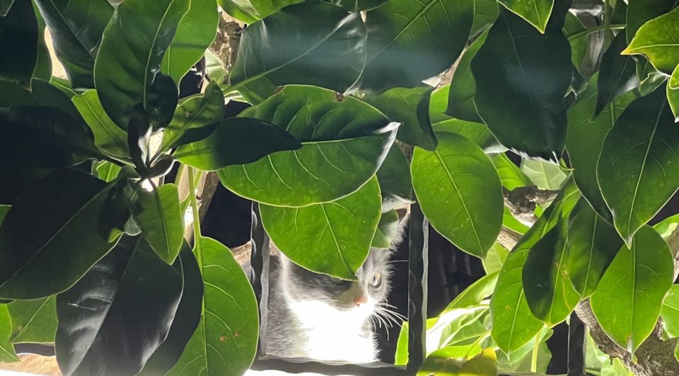 Обзовите меня нехорошим словом — DRIVE2