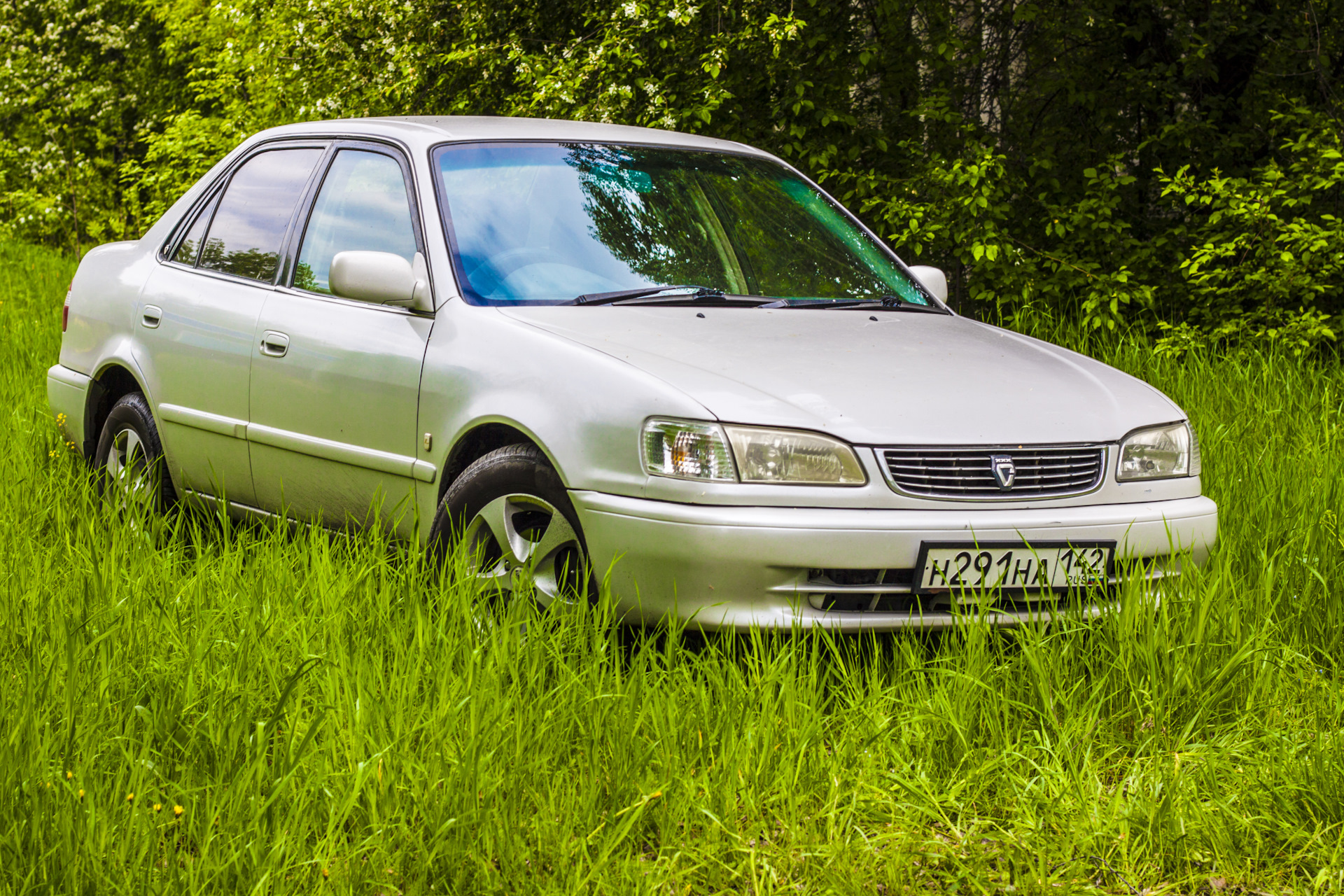 Королла 110. Toyota Corolla 110. Toyota Corolla 110 USA. Corolla 110 Europa. То 110 Тойота Королла.