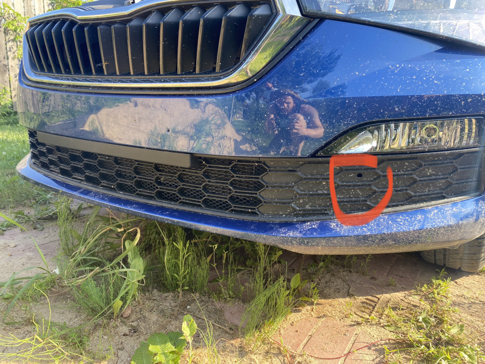 Установка сетки на радиатор Rapid 2021 — DRIVE2