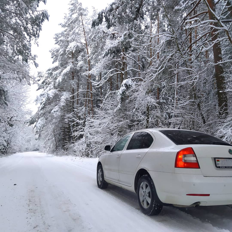 Зима 2021 — Skoda Octavia A5 Mk2, 1,6 л, 2011 года | фотография | DRIVE2