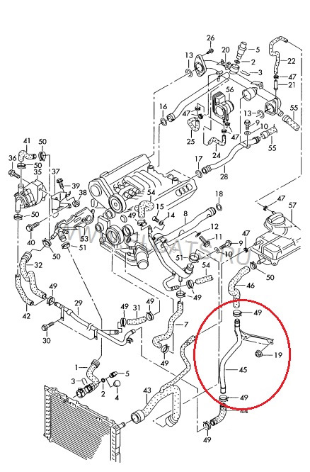 Фото в бортжурнале Audi A6 (C5)