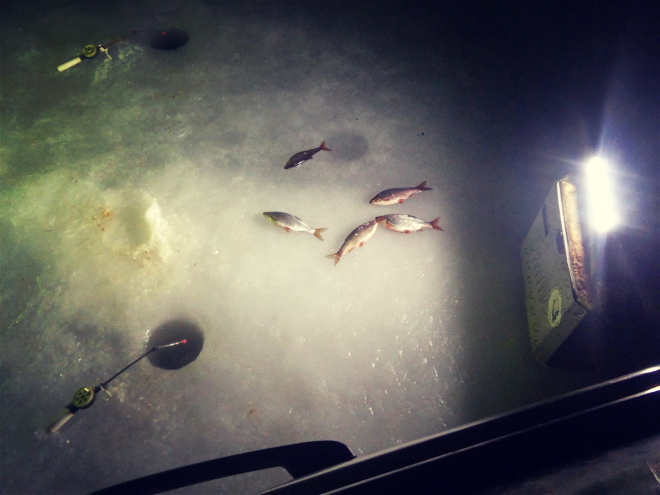 Фото в бортжурнале Chevrolet Niva (1G)