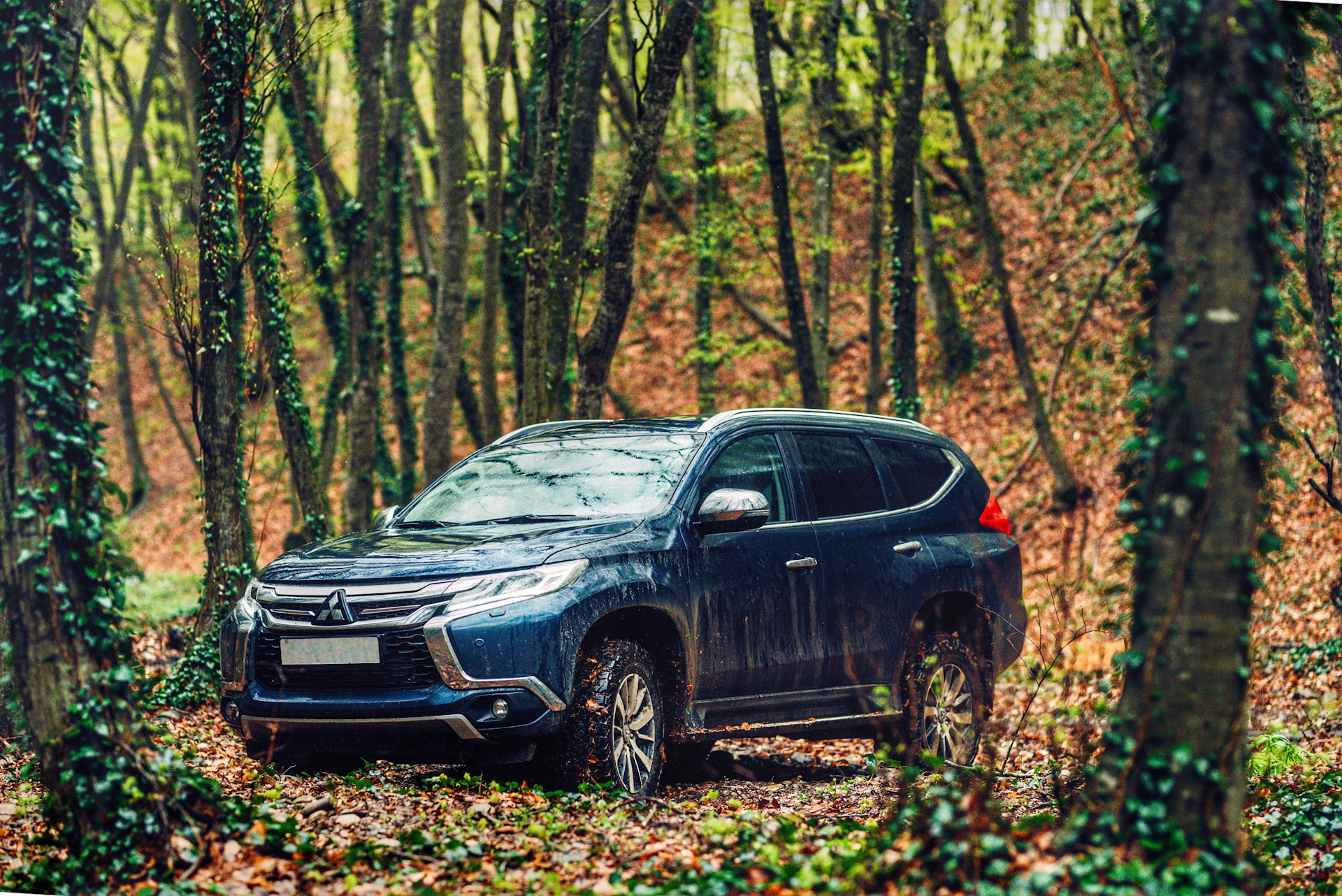 Митсубиси паджеро спорт 3.0 бензин. На Паджеро спорт в дороге. Х6 и Паджеро спорт 3. Паджеро спорт 3 серый в лесу. То 30000 Паджеро спорт 3.