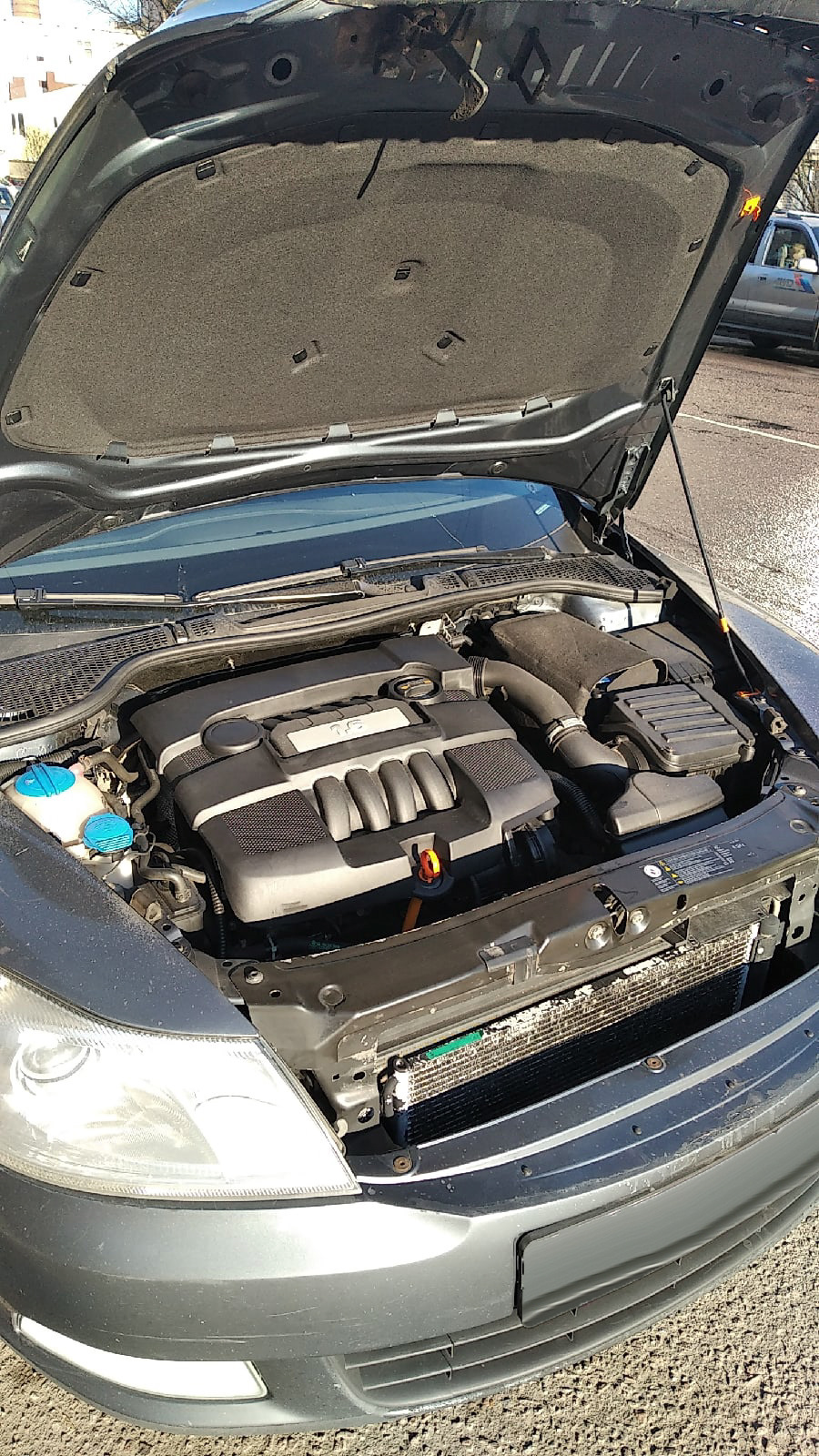 Защита подкапотки от пыли — Skoda Octavia A5 Mk2, 1,6 л, 2011 года ...