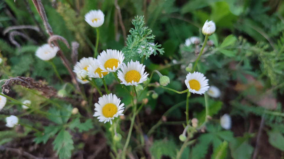 осень, тихая охота… — DRIVE2