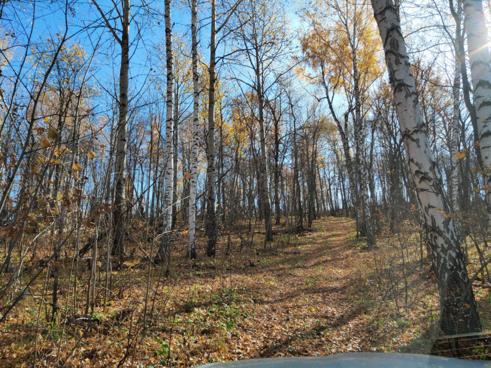 Photo from the logbook Skoda Kodiaq (1G)