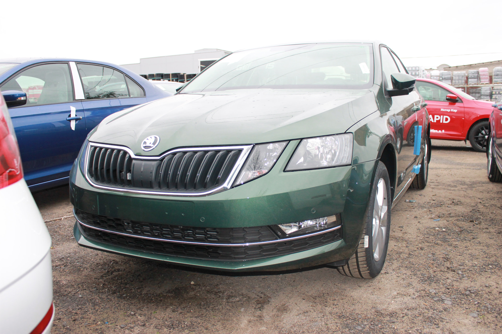 Skoda Octavia a7 зеленая