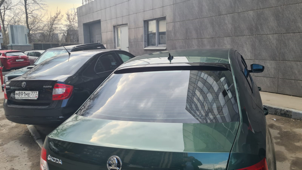 Антикрыло и спойлер для тюнинга на заднее стекло Skoda Octavia A7FL ...
