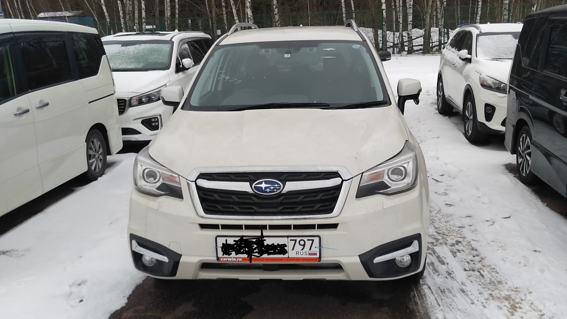 Subaru Forester (SJ) 2.0 бензиновый 2017 | Пока без клички)) на DRIVE2