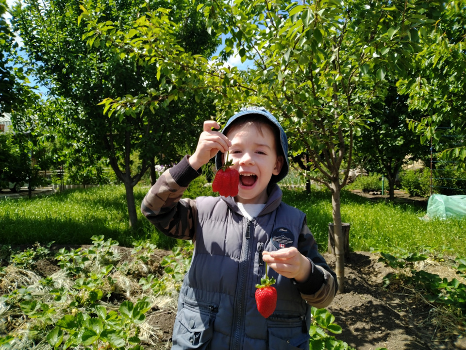 Фото в бортжурнале УАЗ Patriot