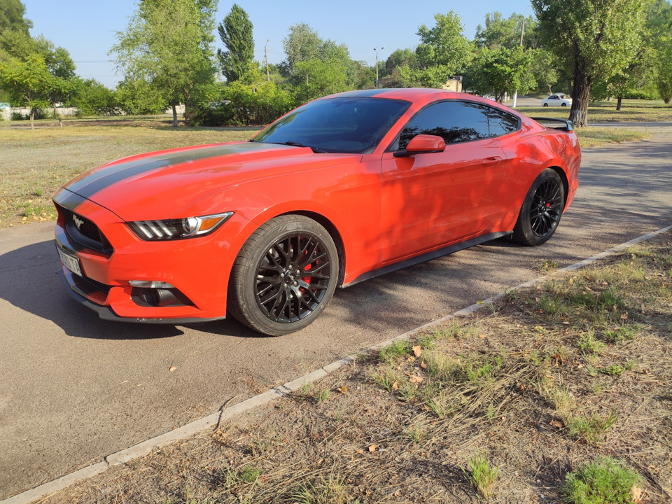 Фото в бортжурнале Ford Mustang (6G)