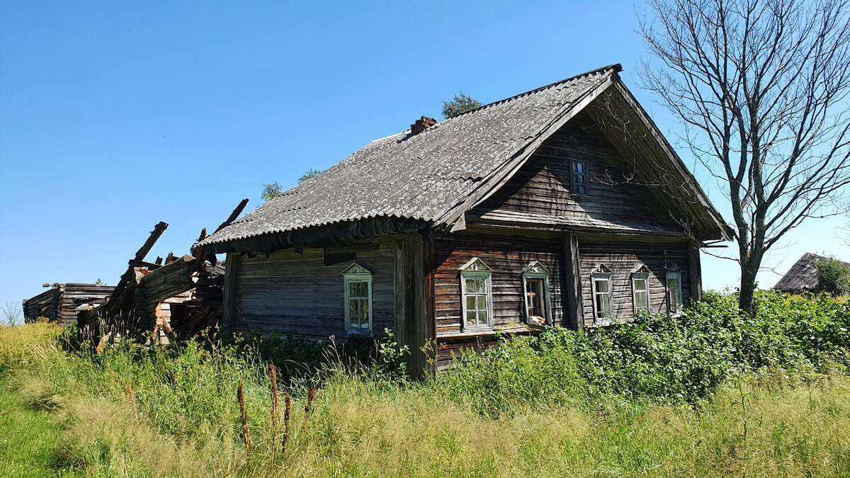 Включи провинция