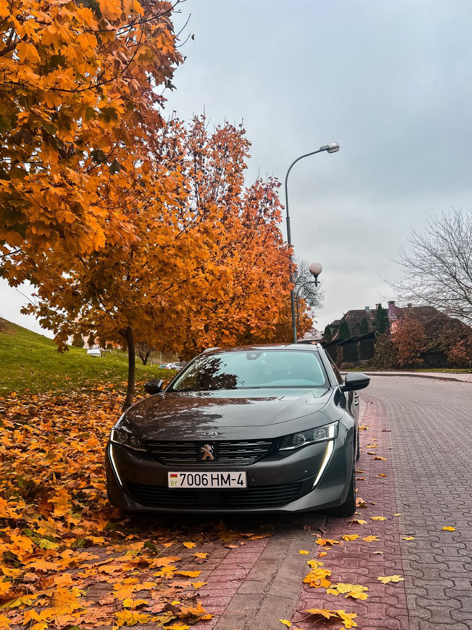 Adblue. Kurwa! . LobsterLab спасай. — Peugeot 508 SW (2G), 1,5 л, 2019 года  | визит на сервис | DRIVE2