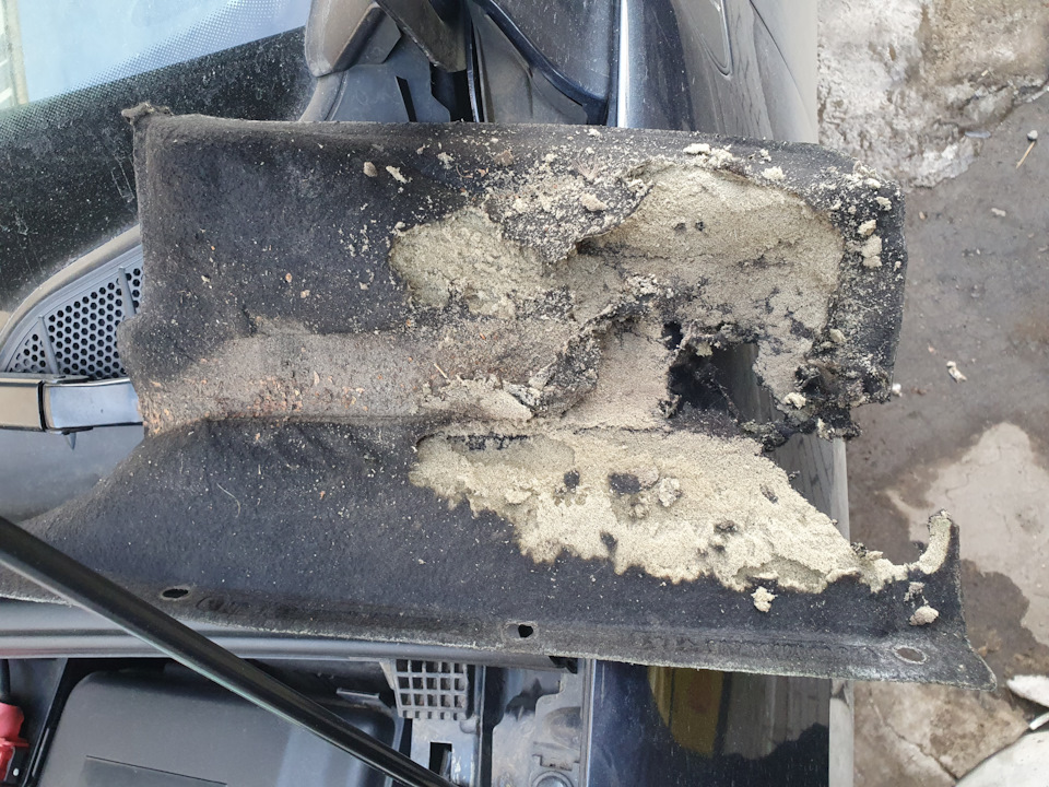 Крысы под капотом — Peugeot 408, 1,6 л, 2013 года | другое | DRIVE2