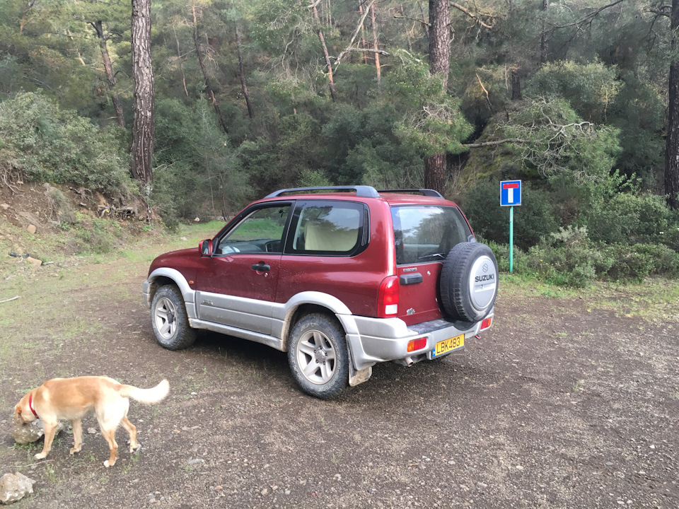 Закусывает руль при повороте — Suzuki Grand Vitara (1G), 1,6 л, 2005 ...