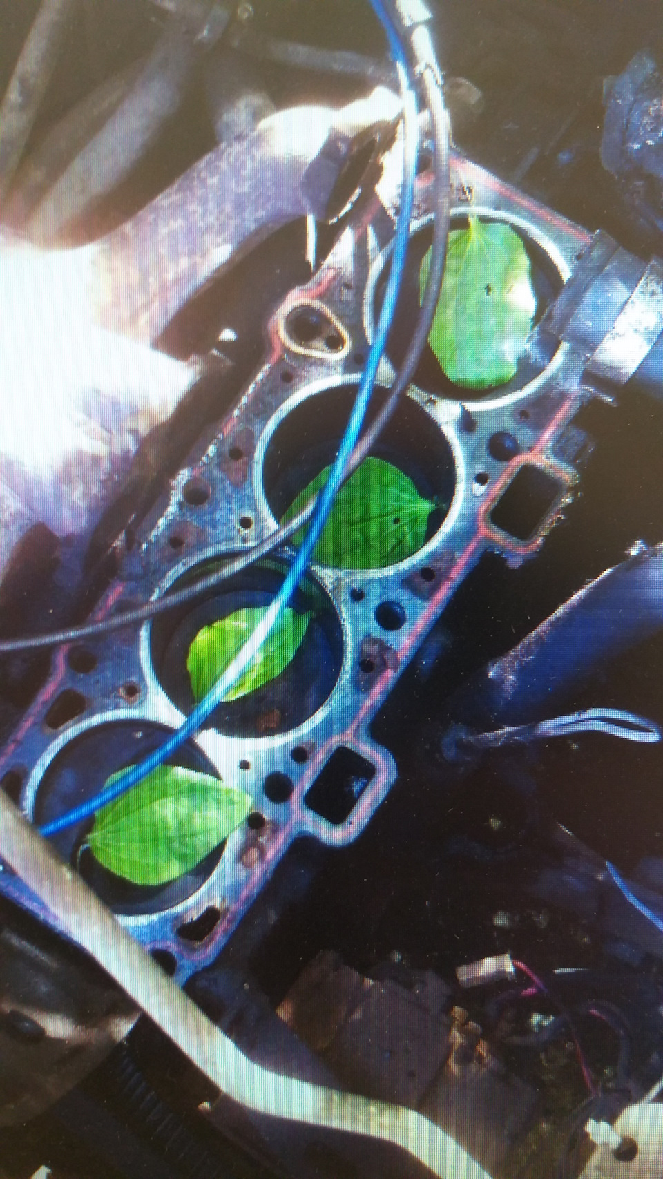 Раскоксовка Лавром — Opel Vectra C, 2,2 л., 2006 года | просто так | DRIVE2