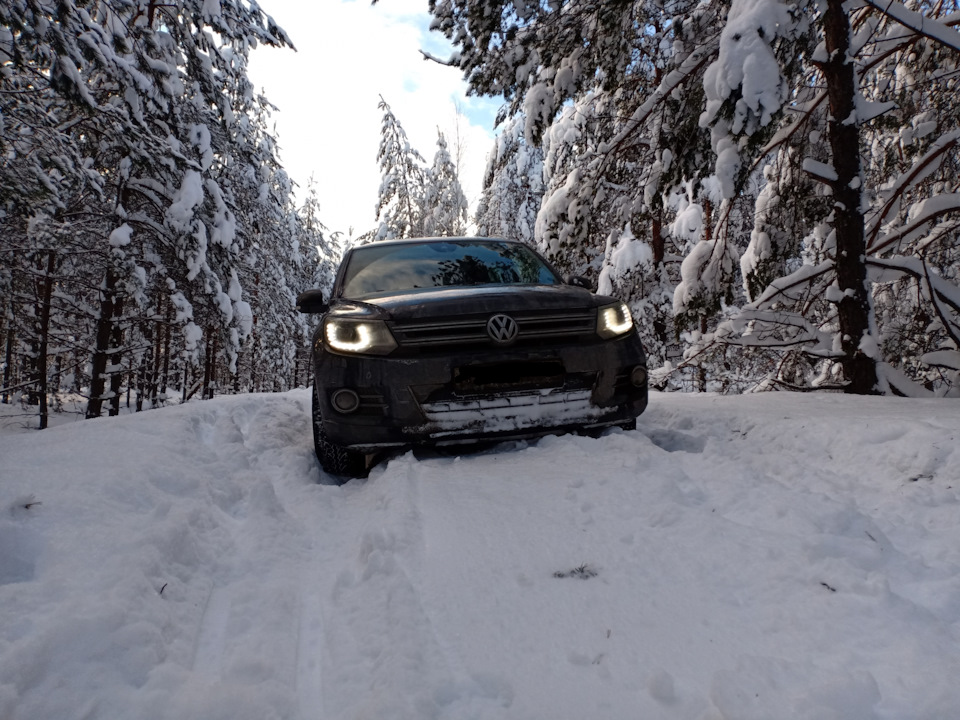 По зимнему лесу — DRIVE2