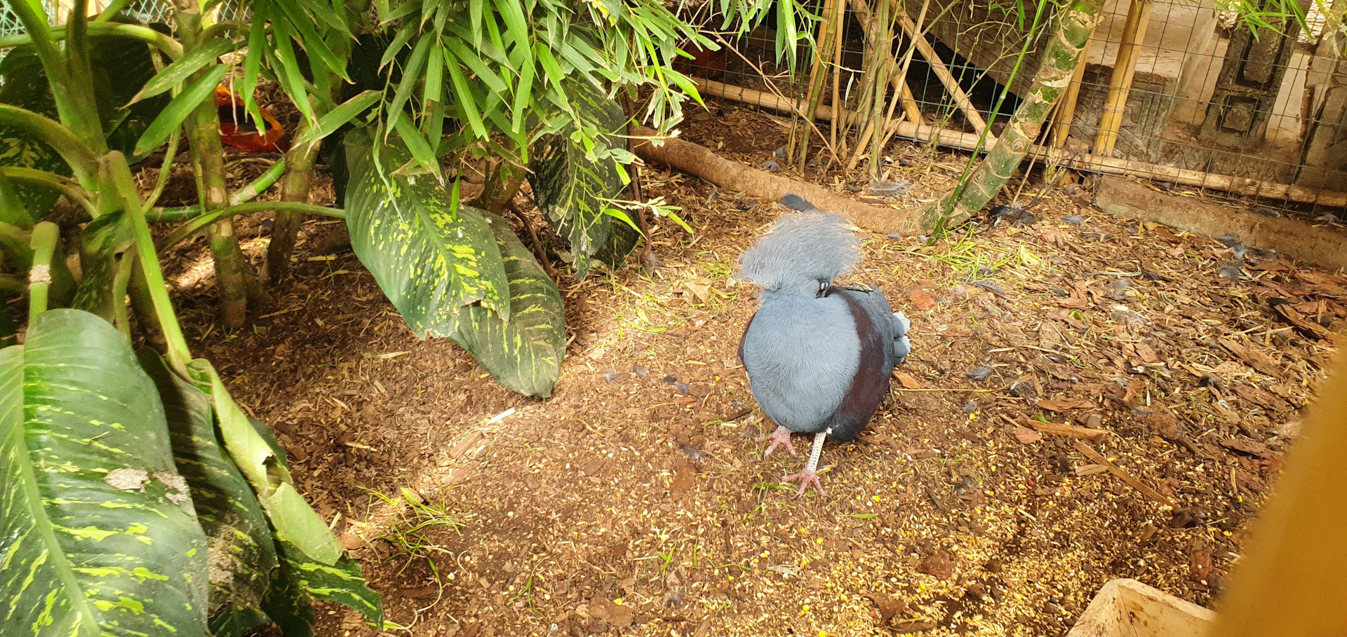 Купить Билет В Сафари Парк Краснодар