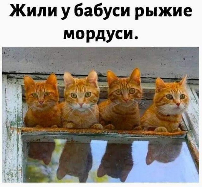 Улыбаемся и машем — Сообщество «Позитивов☺зы» на DRIVE2