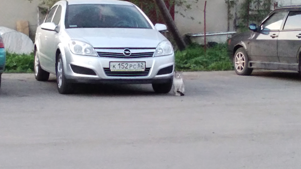Клапанная крышка — Opel Astra H, 1,6 л, 2008 года | поломка | DRIVE2