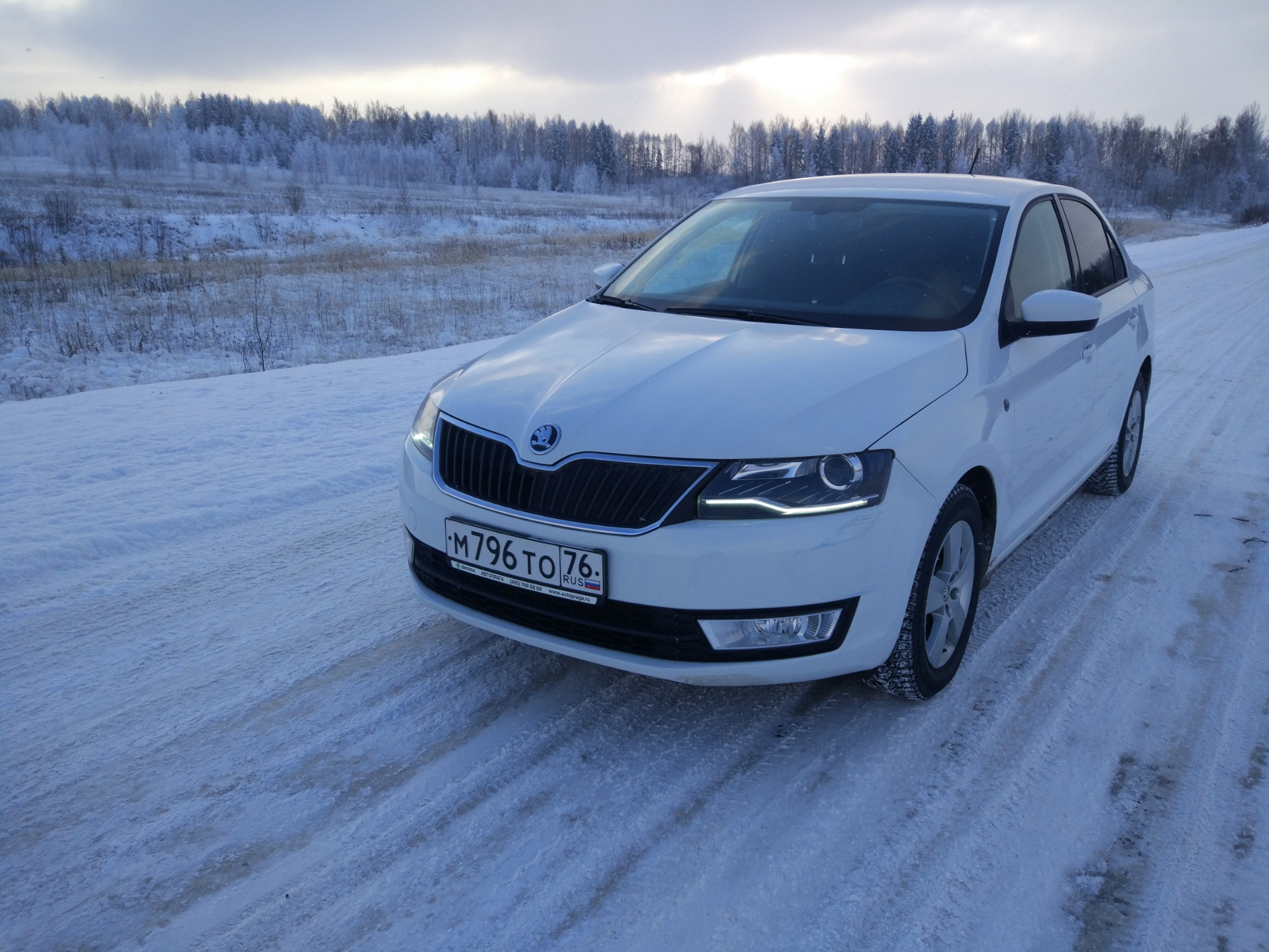 Посоветуйте передние стойки(амортизаторы) какие поставить. — Skoda Rapid  (1G), 1,4 л, 2016 года | запчасти | DRIVE2